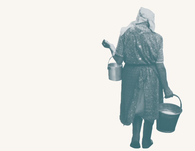 15.11.2025 film - Talis Mater