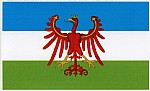 Adesivo Aquila Tirolensis